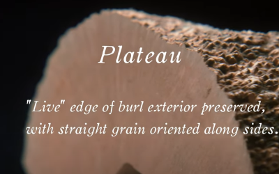 石楠木是如何被採收與切割