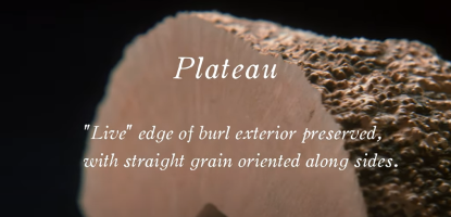 石楠木是如何被採收與切割