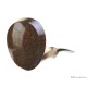 Tom Eltang 手工斗 Snail級