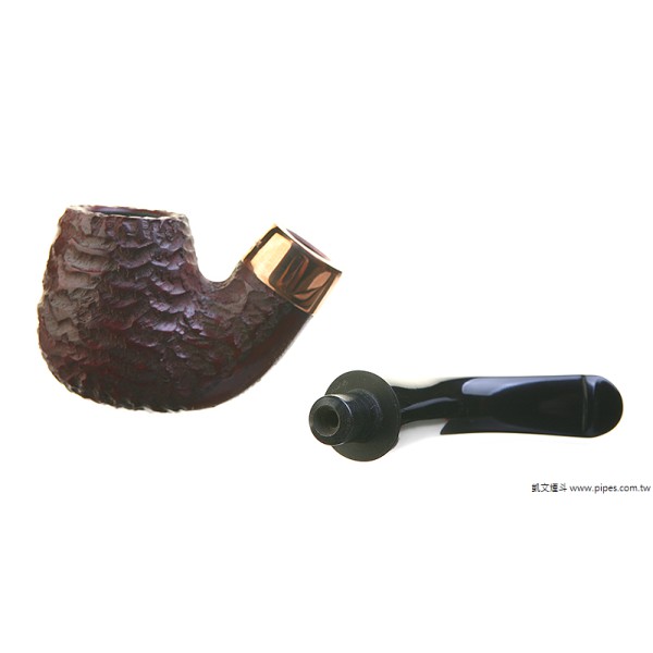 Peterson Christmas 2025 221